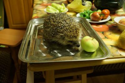 Прикрепленное изображение: DSC03618-1.jpg